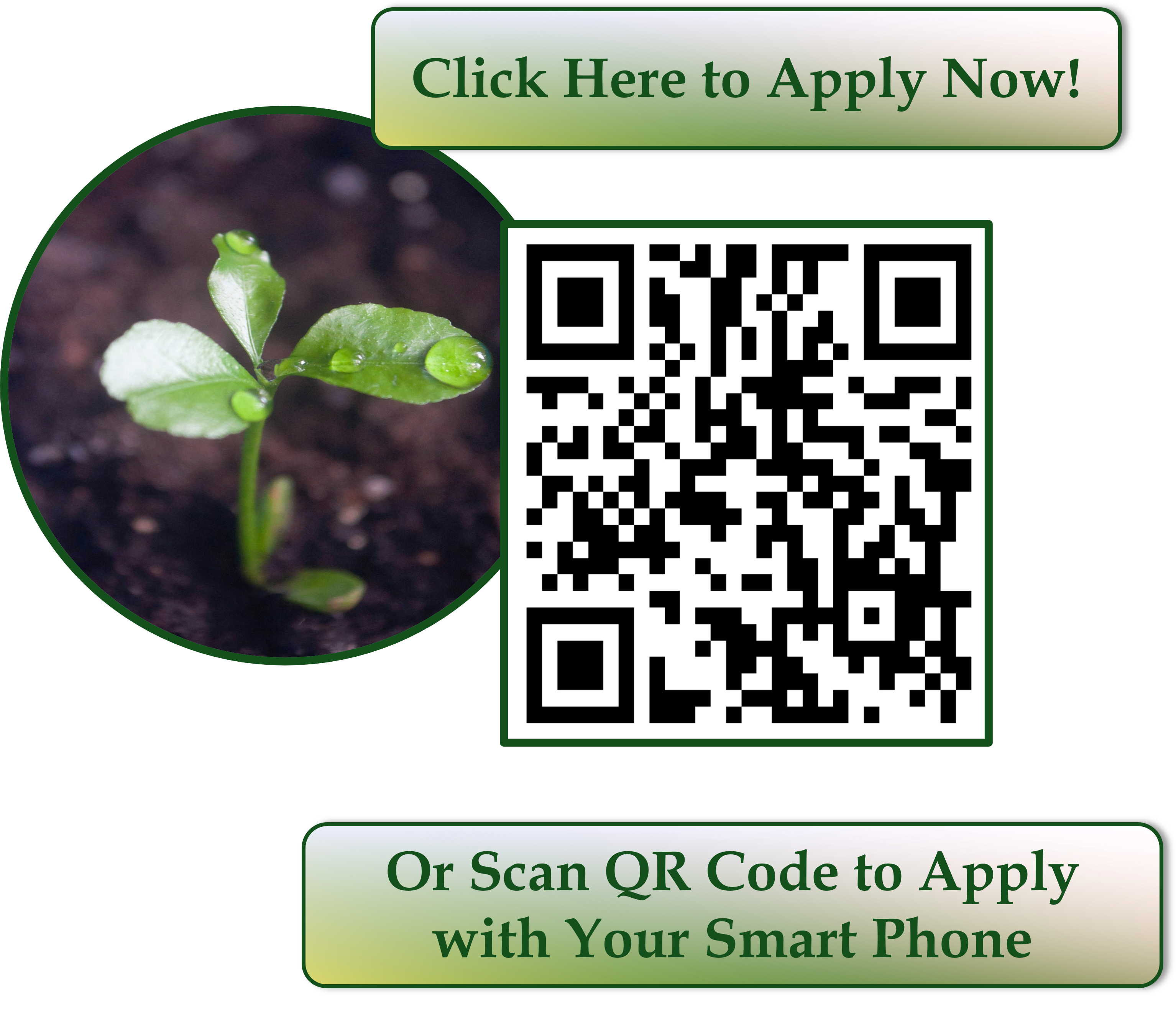 Click Here to Access Application